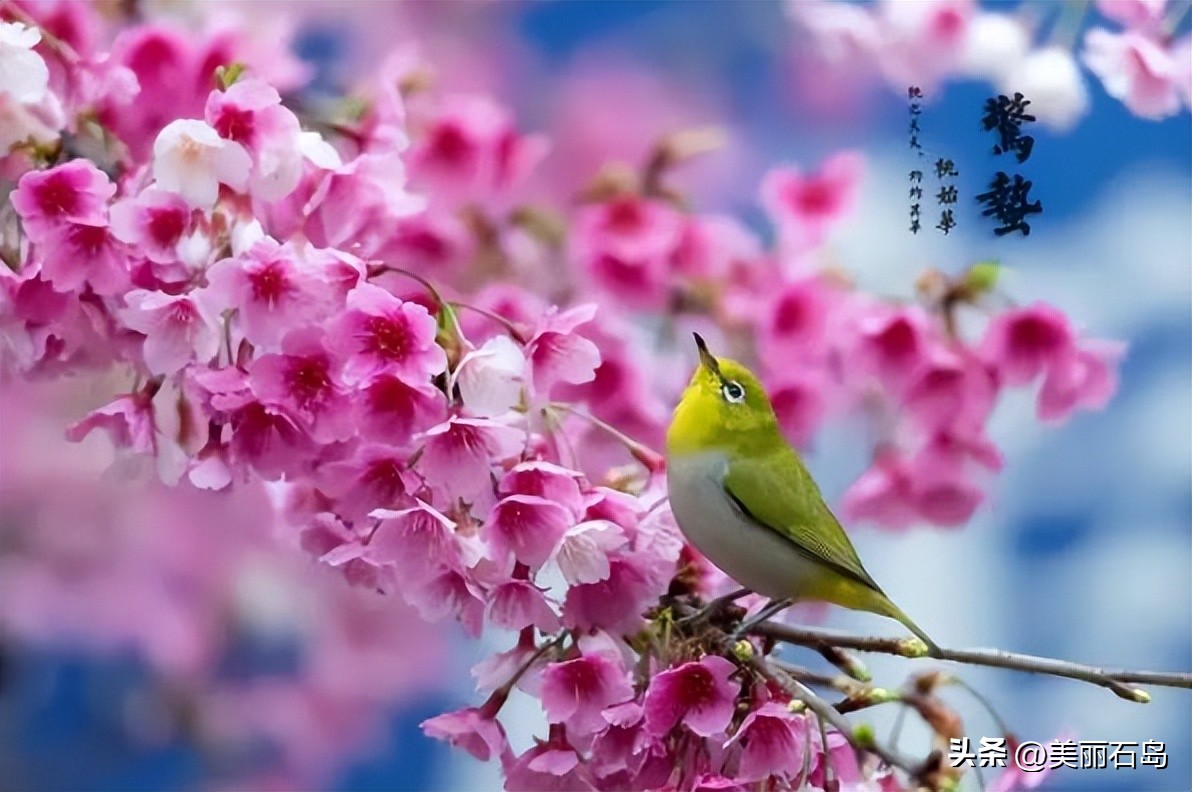 惊蛰节气吃这5种水果最好,今天是惊蛰吃什么水果能更好点儿