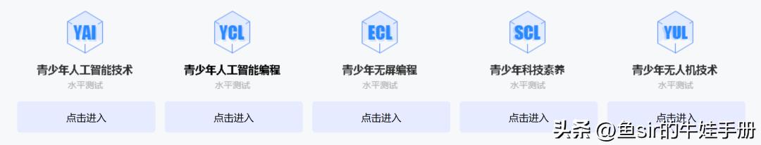 少儿编程考级是不是坑,少儿编程如何线上考级