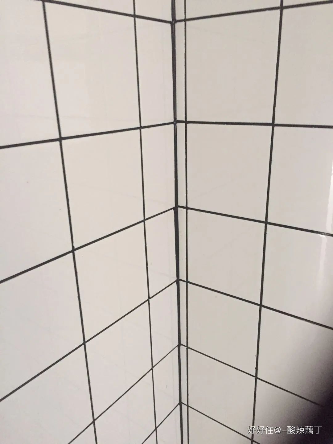 照搬网红的家？我劝你三思