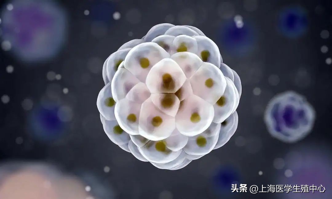 试管婴儿移植成功后出血正常吗,试管婴儿移植后三十天做b超出血