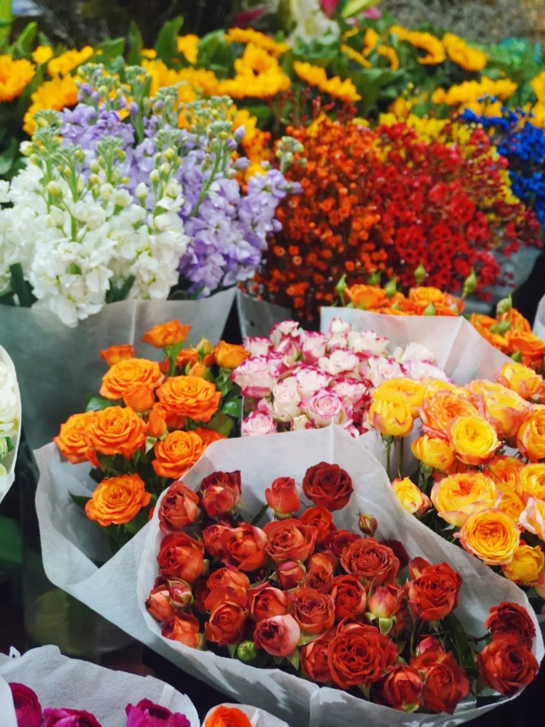 人间芳菲盛，浪漫满怀时！520济南必逛10家宝藏花市指南！