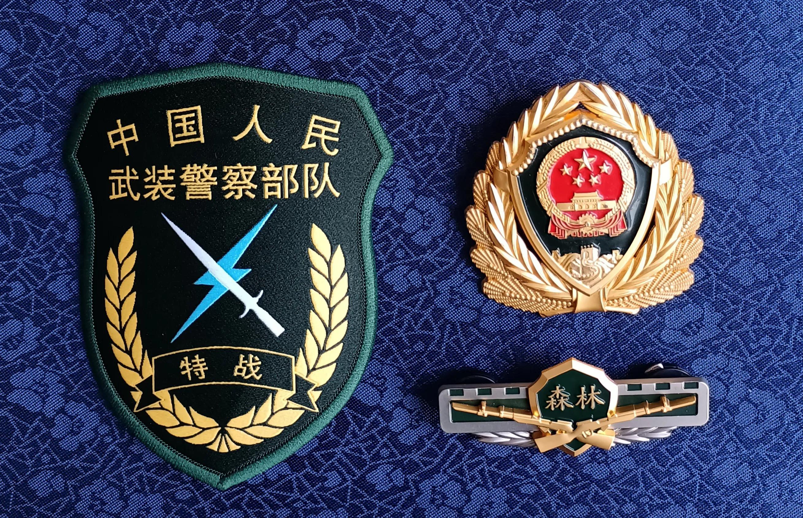 毛启国最新视频,武警16式臂章