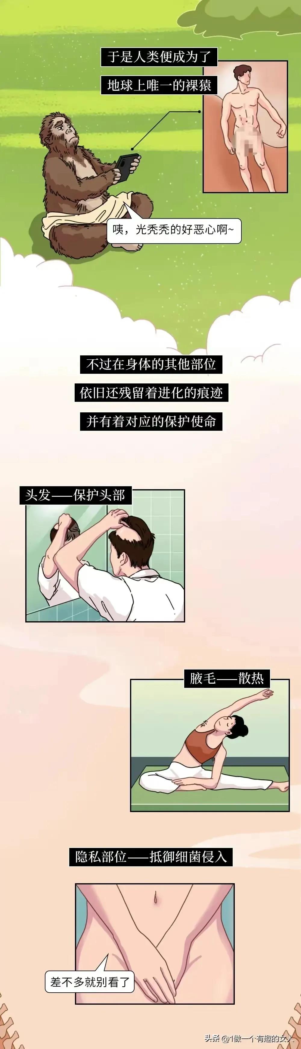 男人和女人的乳头上为什么会长毛？