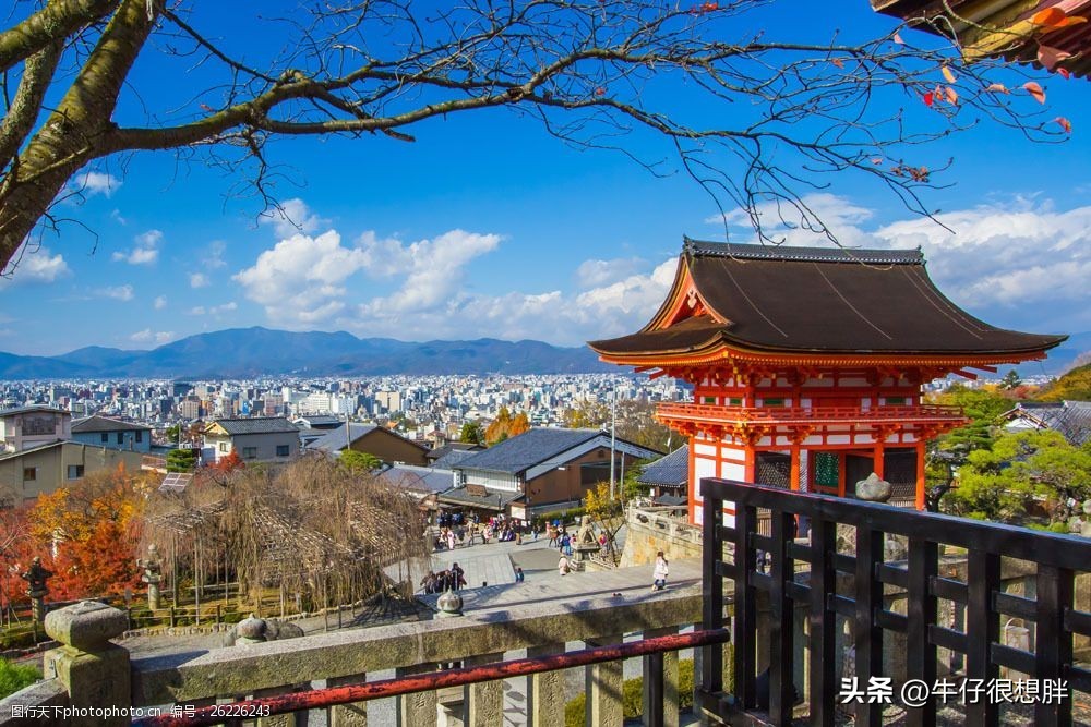 12.29最新各国对中国游客入境疫情防控政策