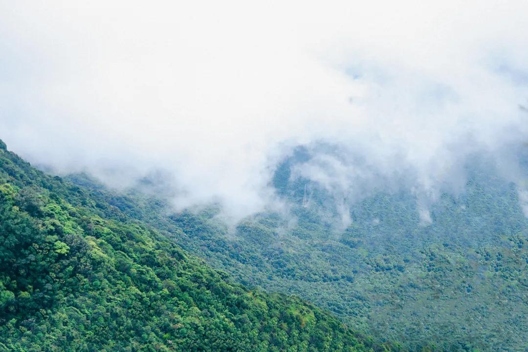深圳最值得爬的景点,深圳十大最值得爬的山