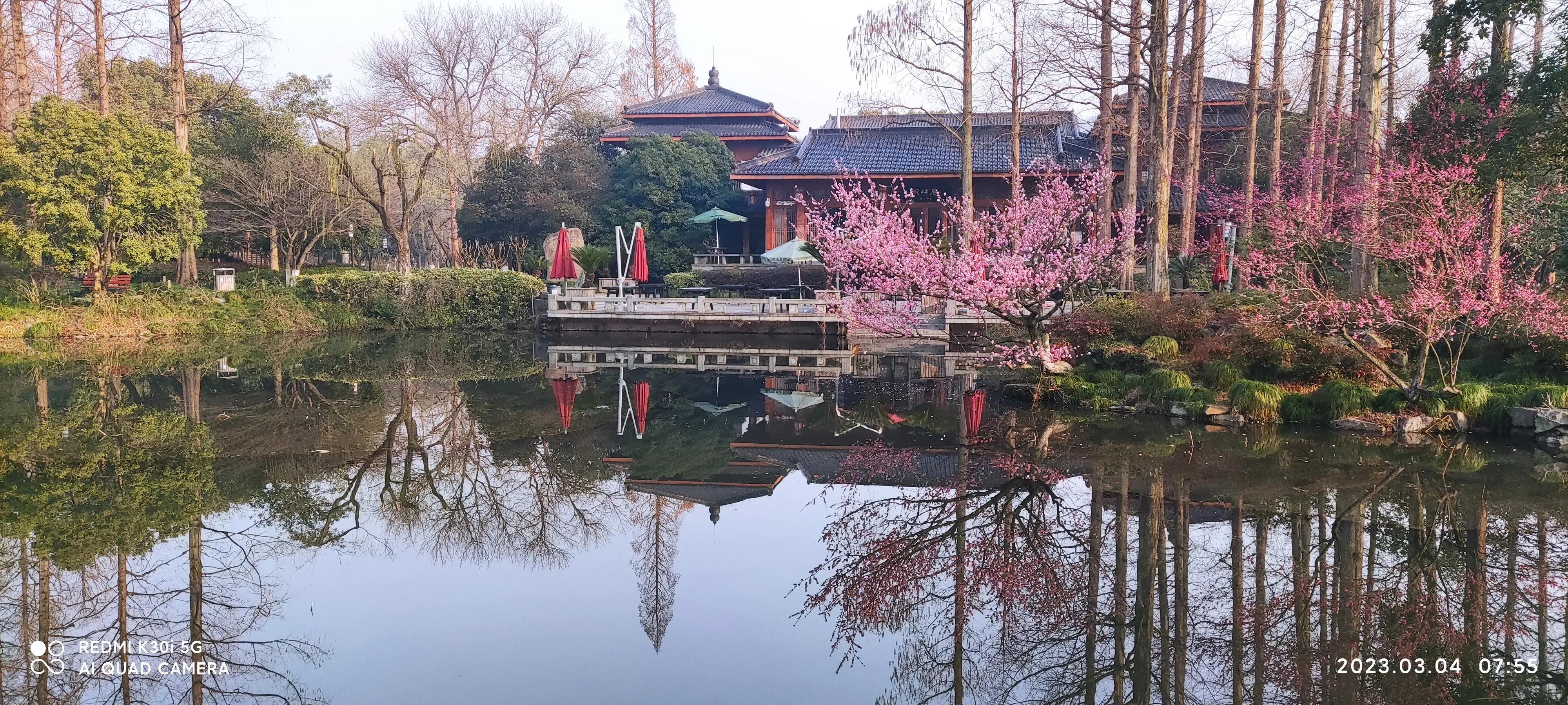 曲院风荷和苏堤断桥的位置,走遍西湖旅游攻略