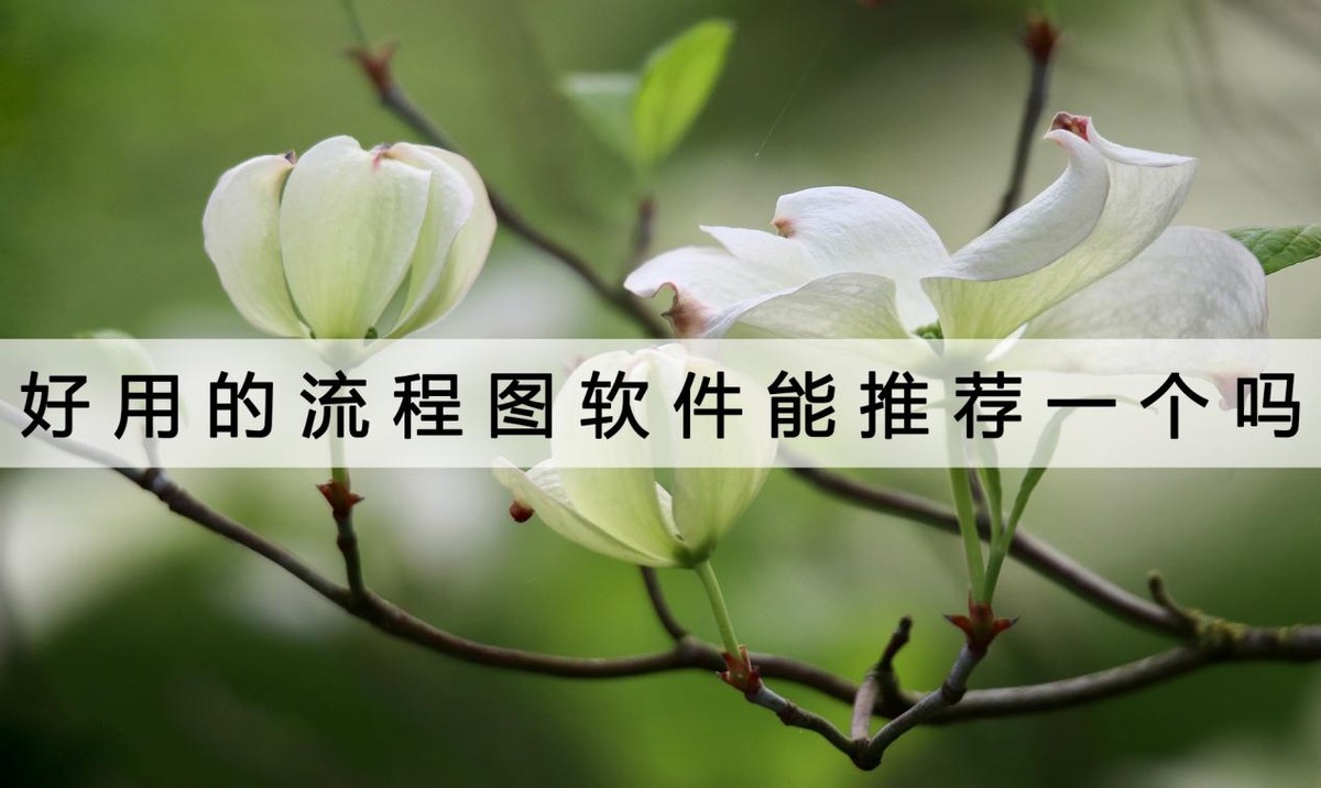 手机制作流程图用哪个软件比较好,制作流程图用什么软件比较好