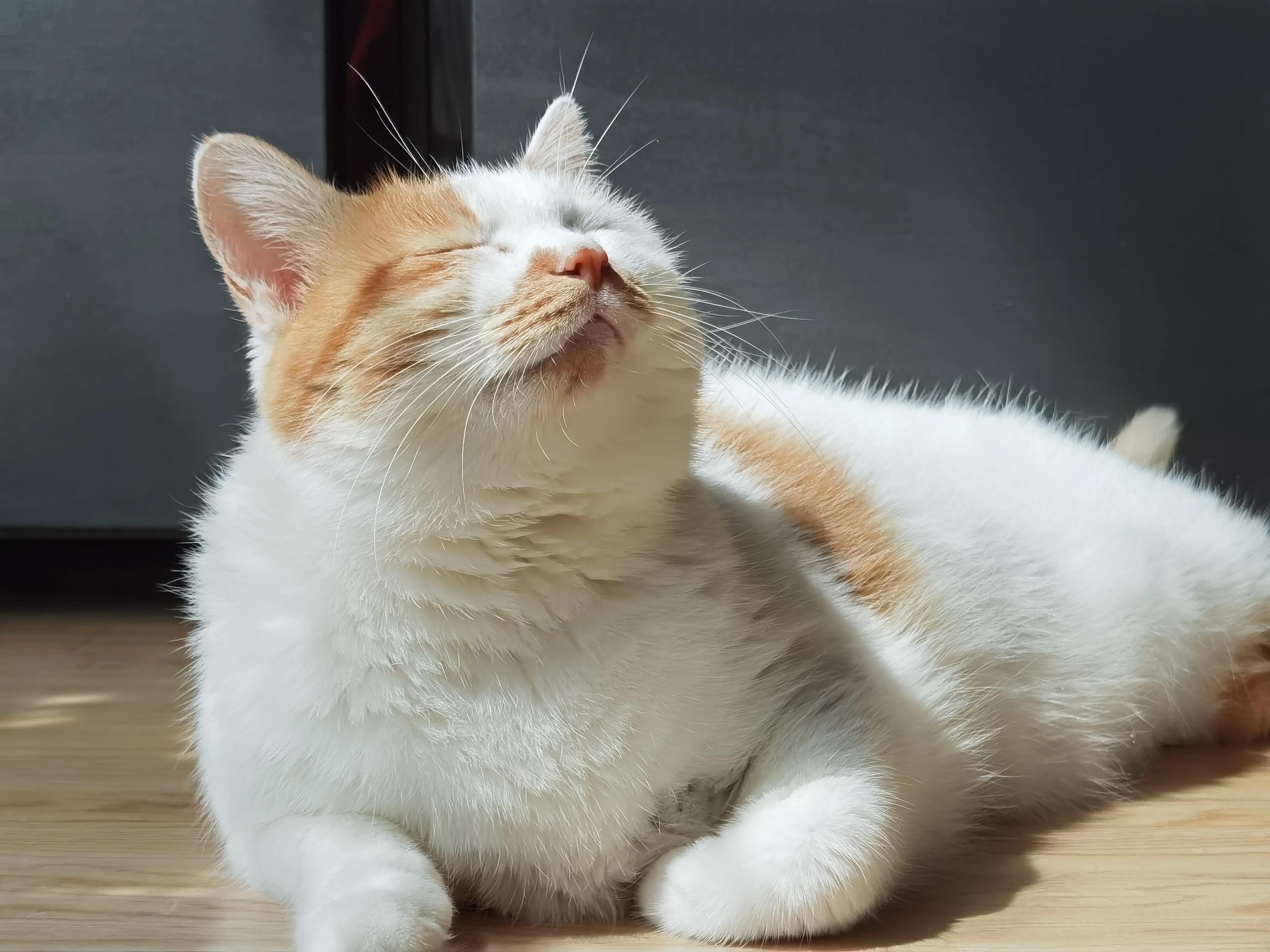 手拍世界手机摄影平台,手拍世界摄影网