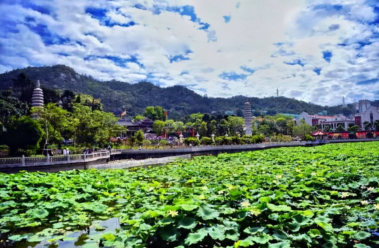 厦门小众打卡地推荐岛内,去厦门必须打卡的地方推荐一下