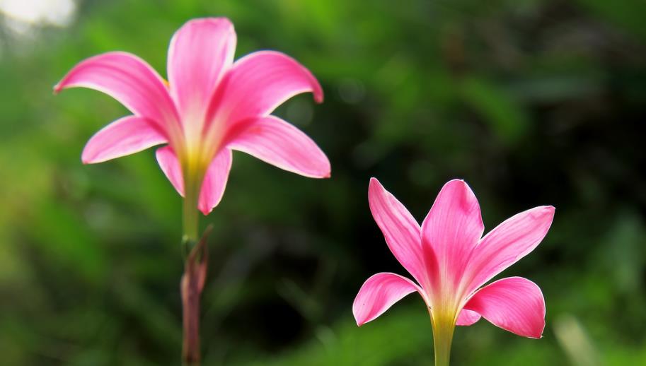 不管关系多好,也别请人吃饭、送礼,原因很现实