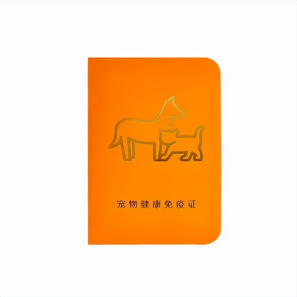 宠物托运怎么打开笼子,宠物托运需要准备什么证件和行李