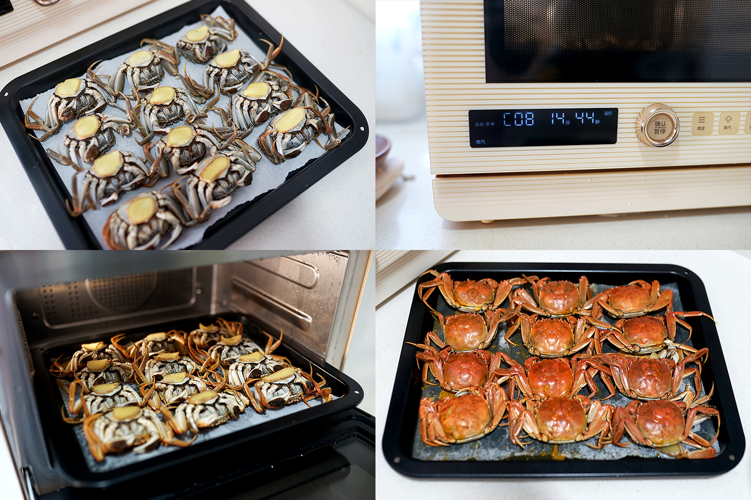 快手家常菜5分钟搞定蒸菜,微蒸烤美食菜谱大全