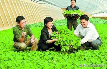 有机农业定义及现状,国内有机农业如何发展