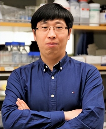 可生物降解有机铁电晶体,可溶高分子