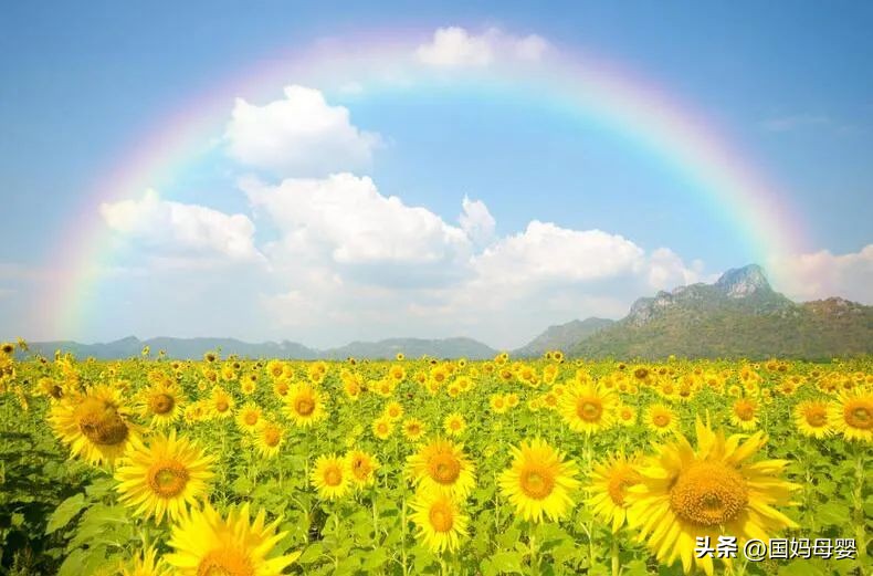 习惯决定人生句子,你的缺点决定了你一生的高度