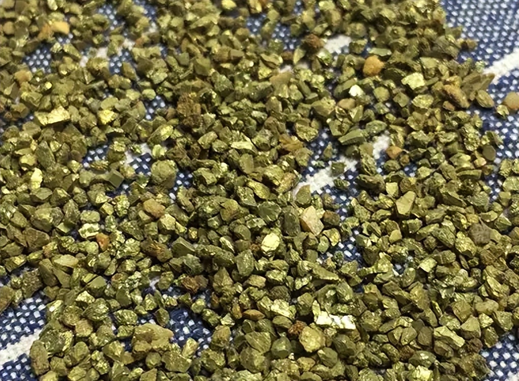 教你识别铜,带你识别植物