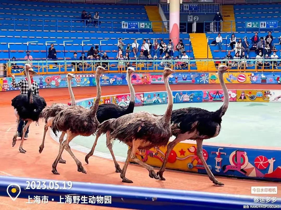 中国最大的野生动物园是哪个城市,中国最大野生动物园