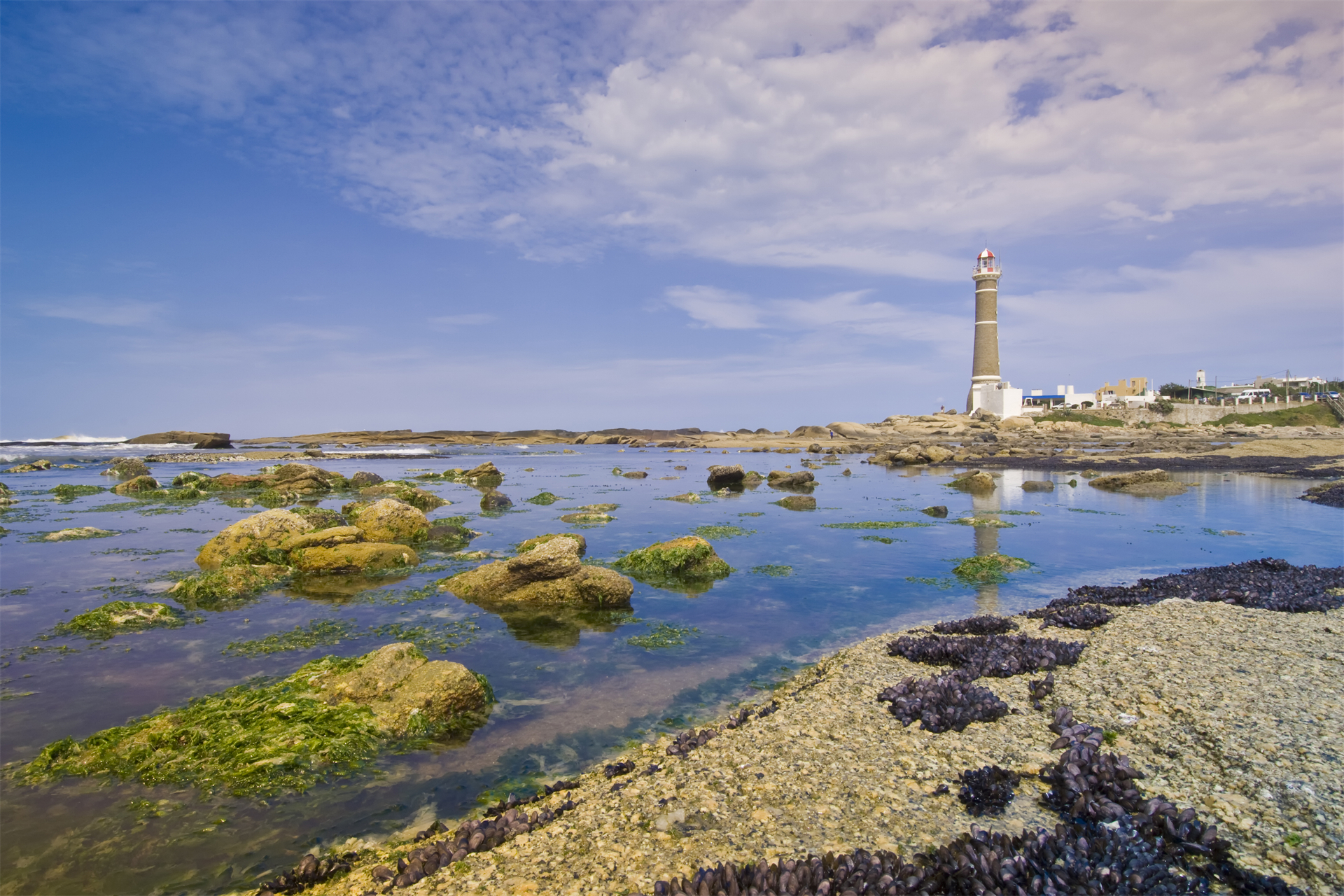 男足u20世界杯,u20世界杯男足