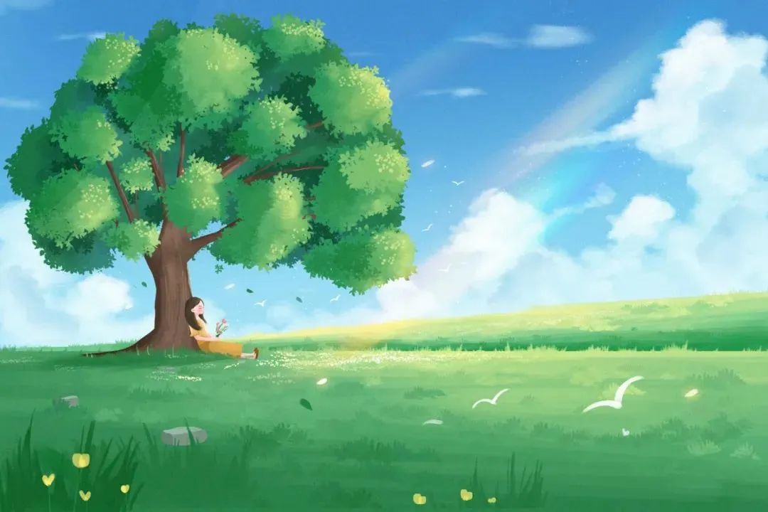 单篇稿费涨到1500,单篇稿费从20到1000