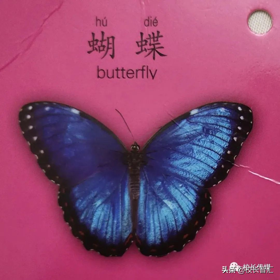 李瑞教课靠谱吗,李瑞训练方法视频