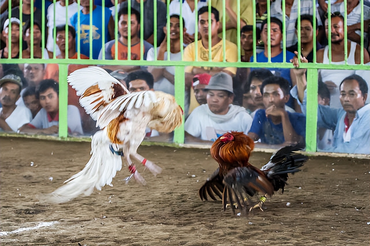 菲律宾驱逐4万中国人,为什么我们要叫好?