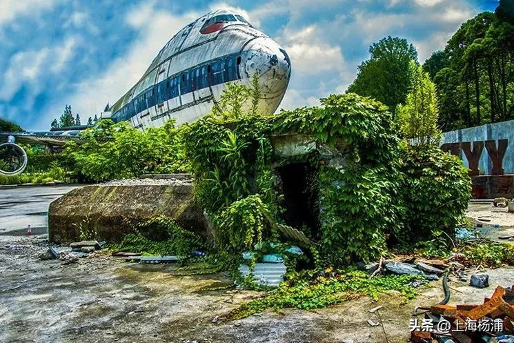 速来围观！这一大赛获奖作品出炉！发现杨浦的“小而美”