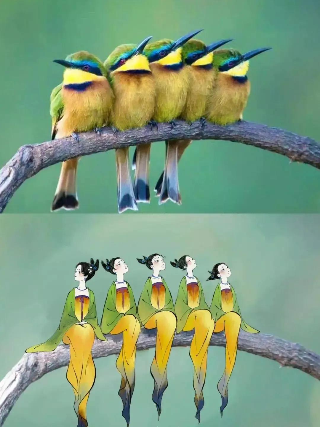 贵州女孩学医,贵阳女孩子学医