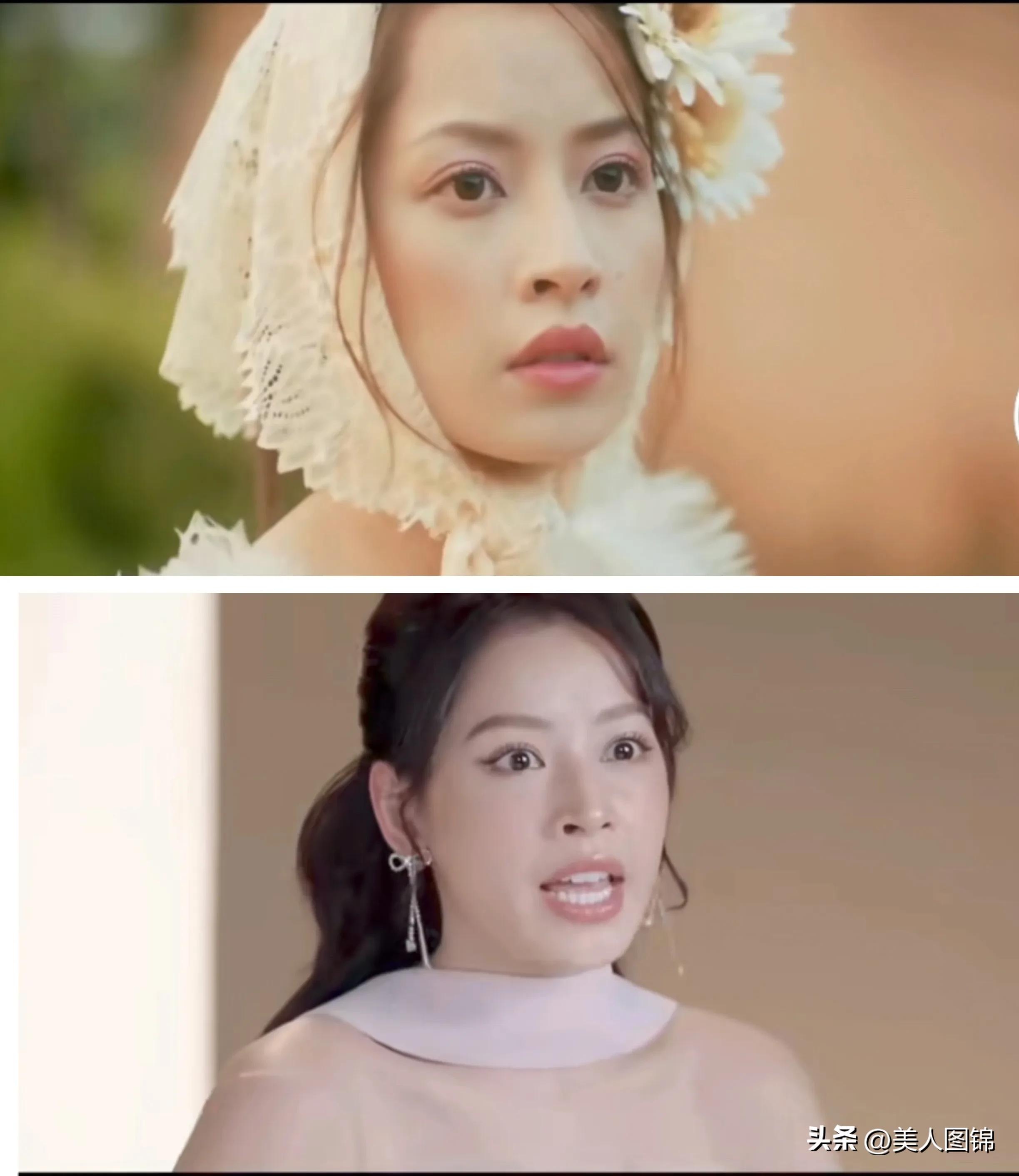 越南芝芙,芝芙越南