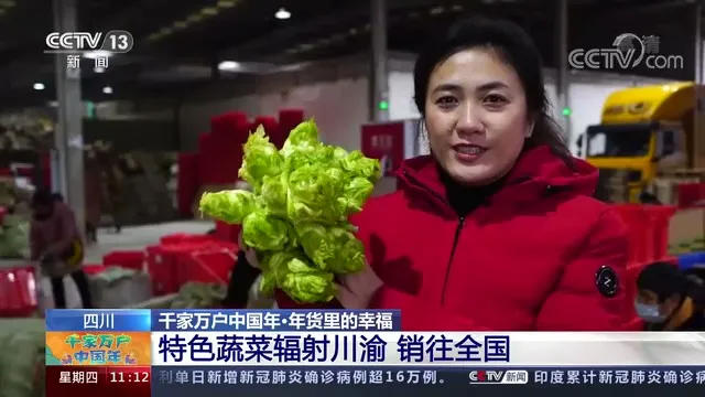 央视小姐姐打卡资中“菜篮子”！2分55秒强势推介——