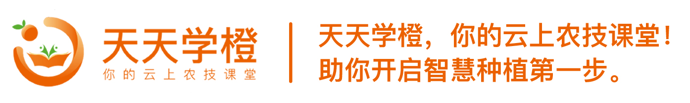 脐橙的保鲜技术有哪些,脐橙保鲜技术视频