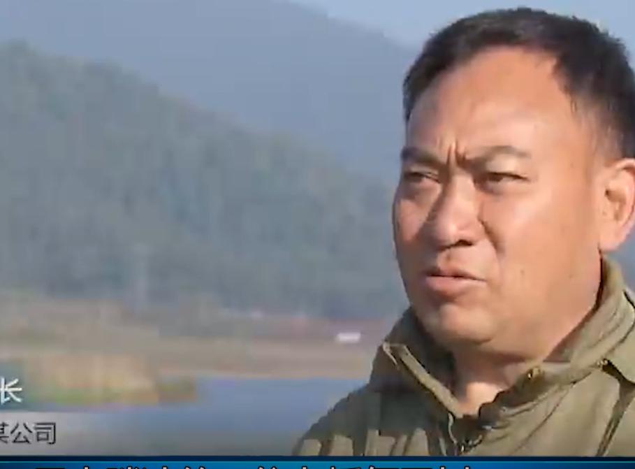 万尾鱼苗离奇失踪,鱼苗死亡鱼苗老板有责任吗