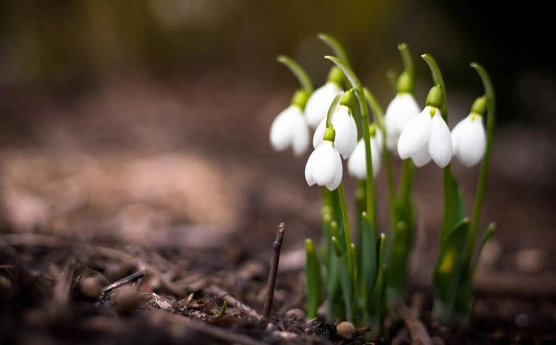碳基生命与硅基生命对比视频,从碳基生命到硅基生命时间表