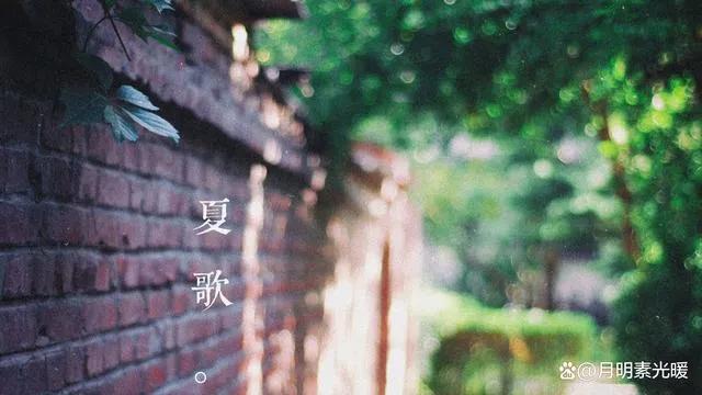 外汇投资有哪些技巧,外汇投资的方式是什么