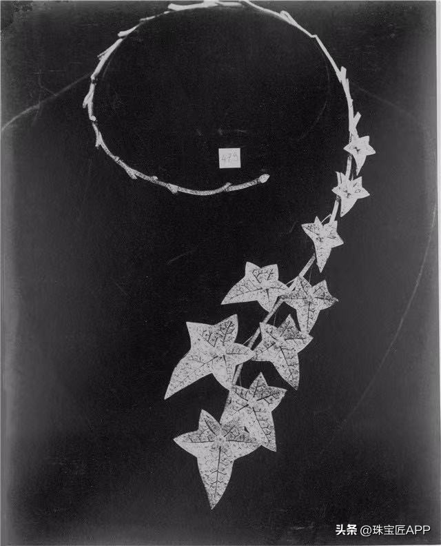 宝诗龙问号项链周冬雨,宝诗龙孔雀问号项链