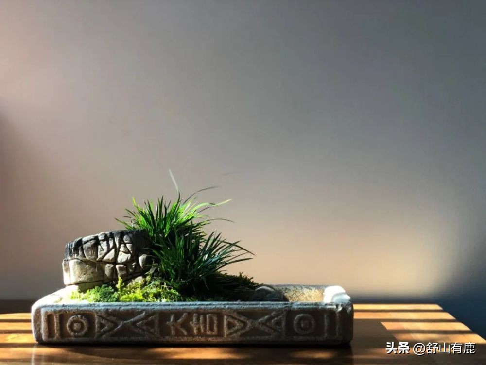 人生命运定吉凶,出生年月吉凶分析