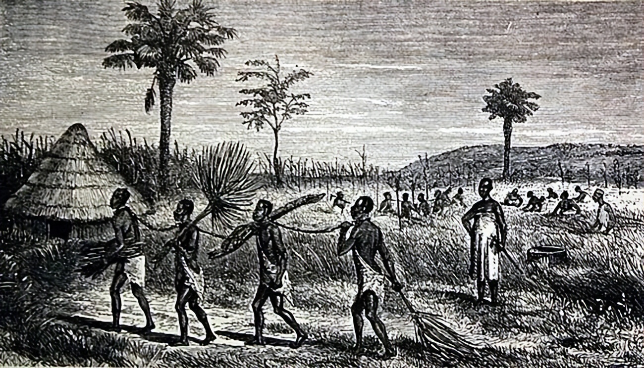 18世纪奴隶贸易最严重的原因,奴隶贸易的原因和影响