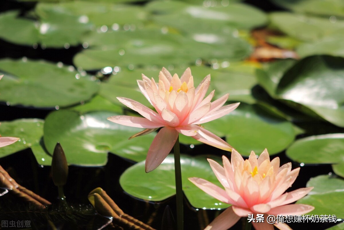 想要赚钱必须要想明白这12个问题,要想赚钱只要五种方法