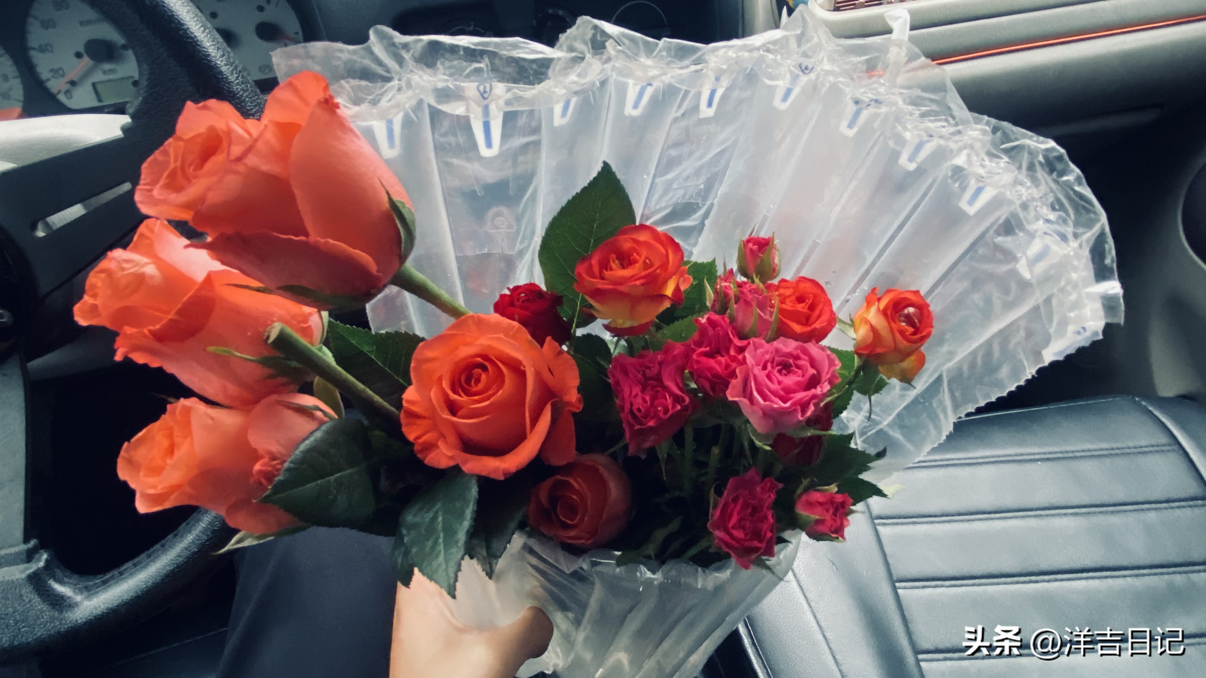 洋吉日记2023.4.28（花的意义？）