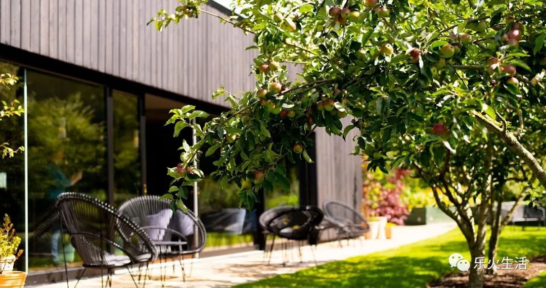 上海开业10个月获米其林餐厅,巴黎开业20年的米其林三星餐厅