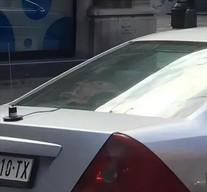 一起来看看真实的加纳,塞内加尔真实感受