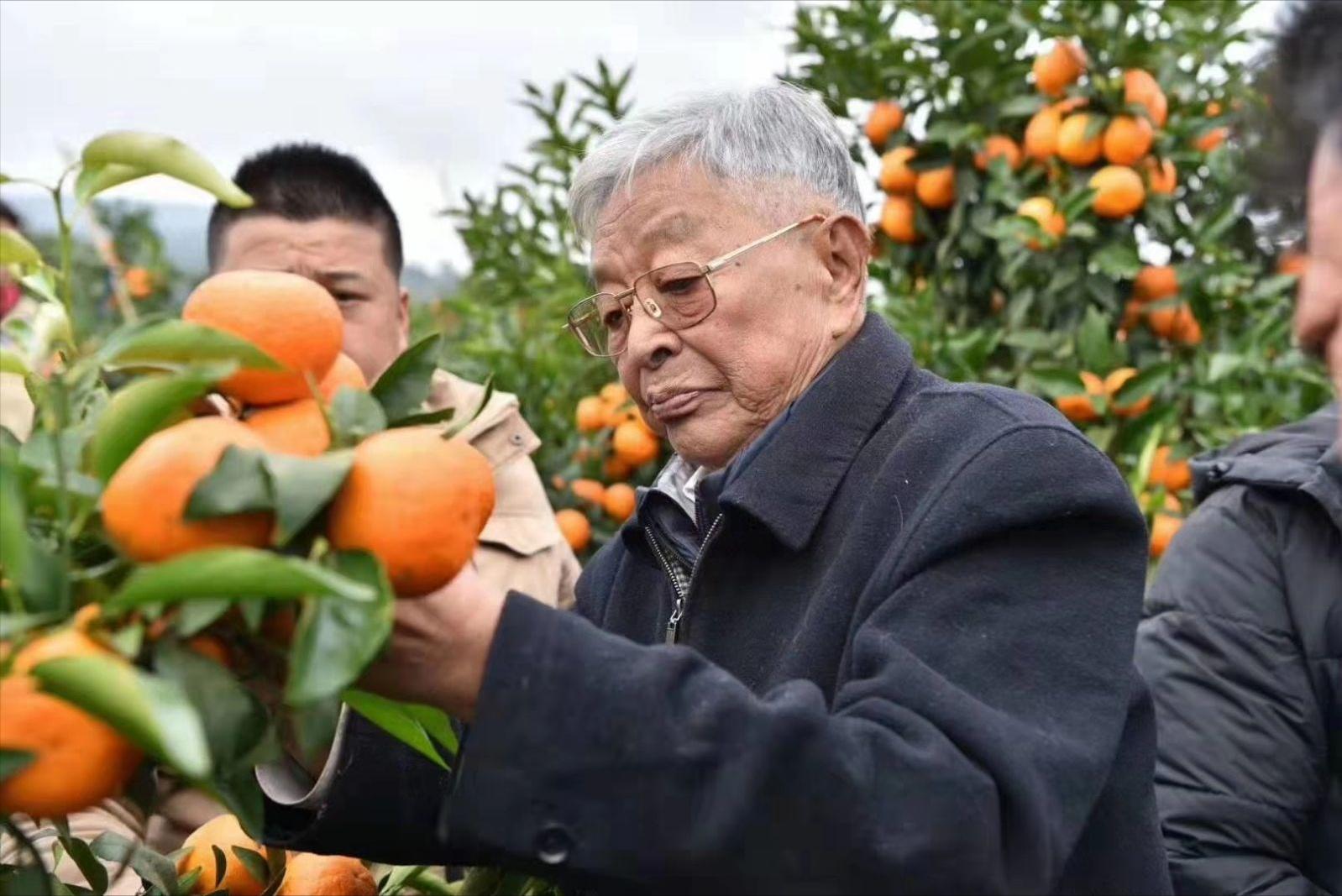 天灾*祸人**中走出的“*草烟**大王”贪污上亿成阶下囚,84岁东山再起