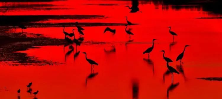 湿地可以开发什么旅游项目,黑龙江旅游必去十大湿地排名