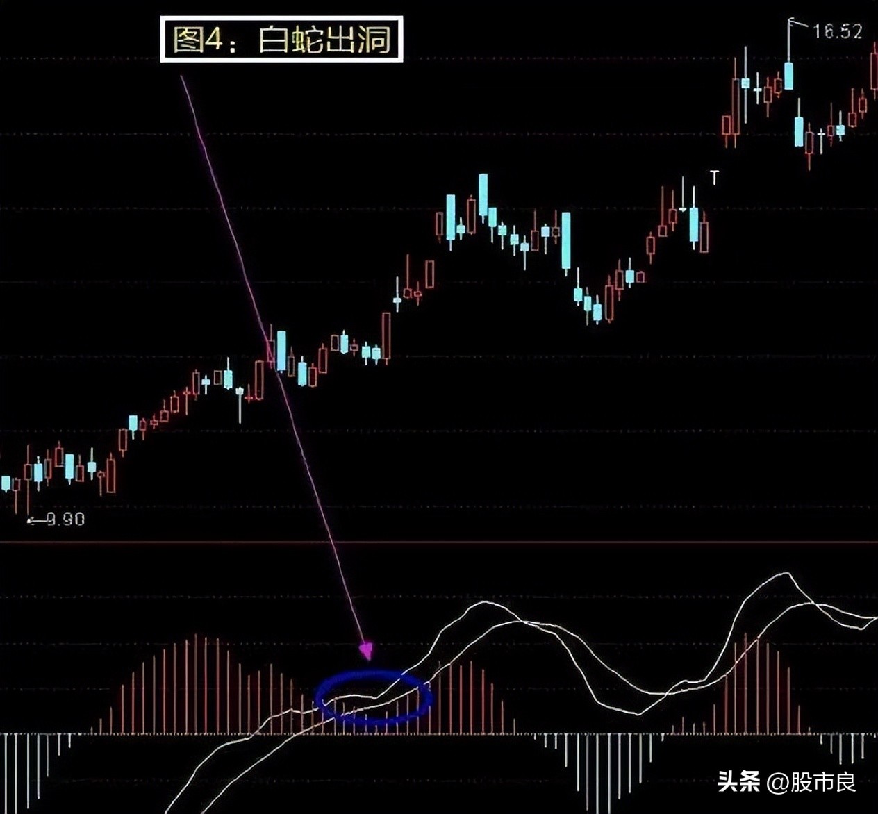 干货来了总结,干货来了营销人必看