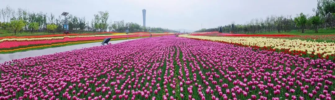 扬科维奇对国足带来了多大的改变,媒体深度解码国足新帅扬科维奇