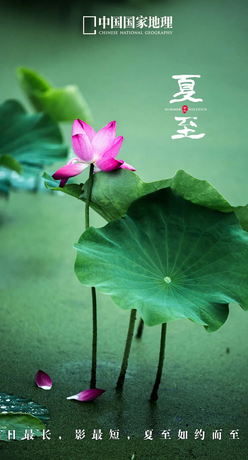 365天最美24节气图诞生惊艳国人,这组24节气图太美了