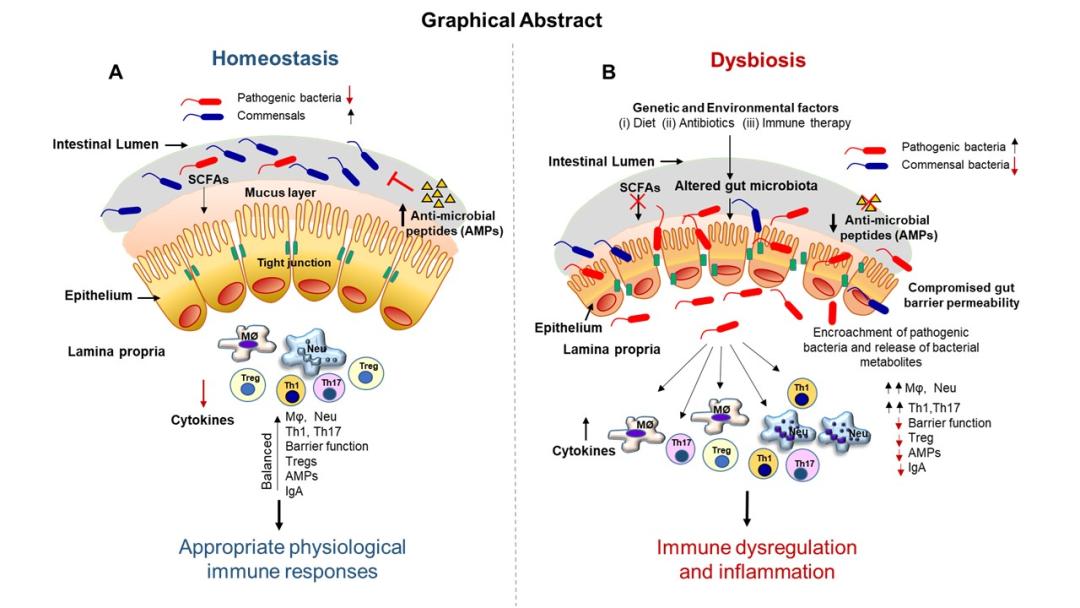 肠道菌群检测有哪些科研方法,肠道菌群检测可以查出哪些疾病
