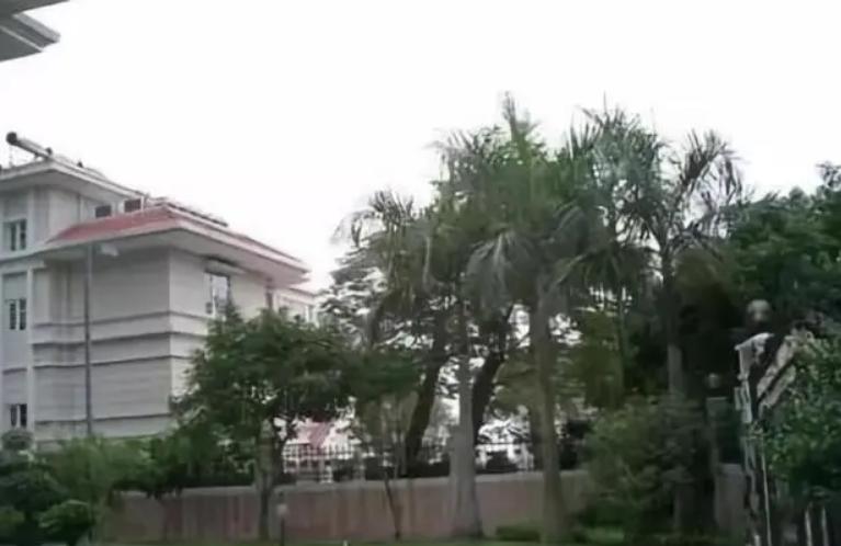 重庆残疾小伙卖白糕,重庆卖白糕富翁被杀