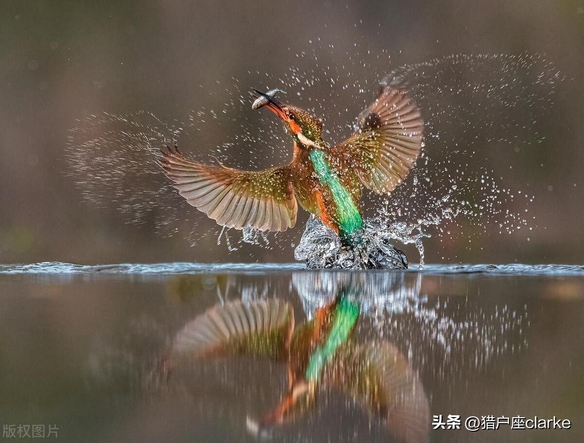 五种运动镜头的拍摄技巧,怎么拍出有力量感的动作