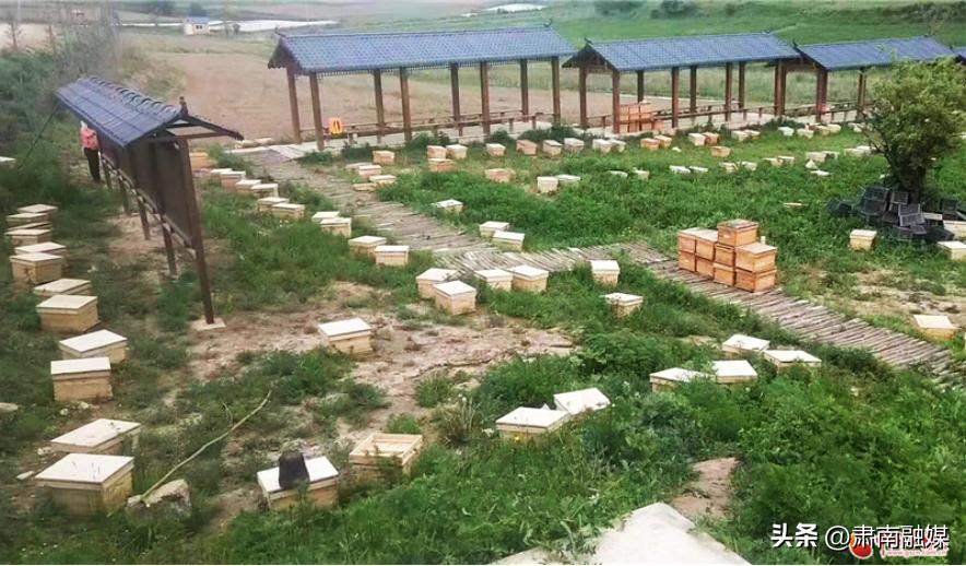 【小康路上看老乡】程永峰的创业“蜜”经