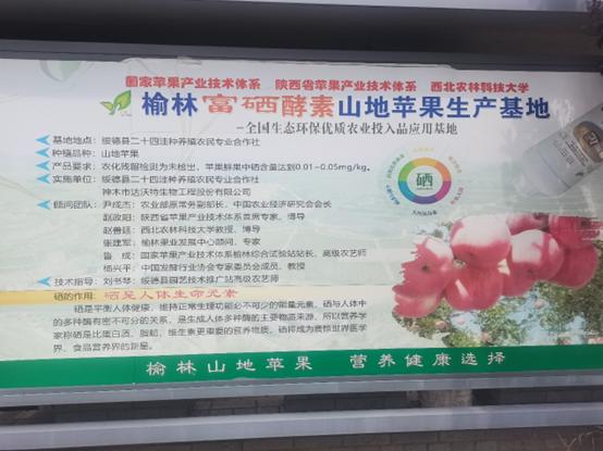 最火的果蔬酵素,富硒植物酵素的功效